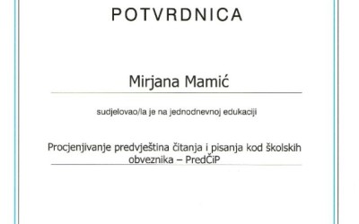 Edukacija stručne suradnice Udruge Dyxy  Mirjane Mamić