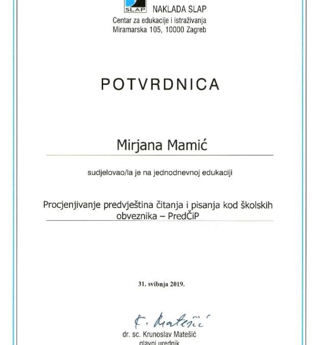 Edukacija stručne suradnice Udruge Dyxy  Mirjane Mamić
